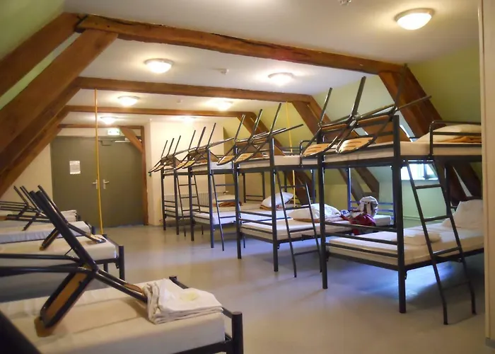 De Jeunesse-la Hulotte * Montreuil (Pas-de-Calais)